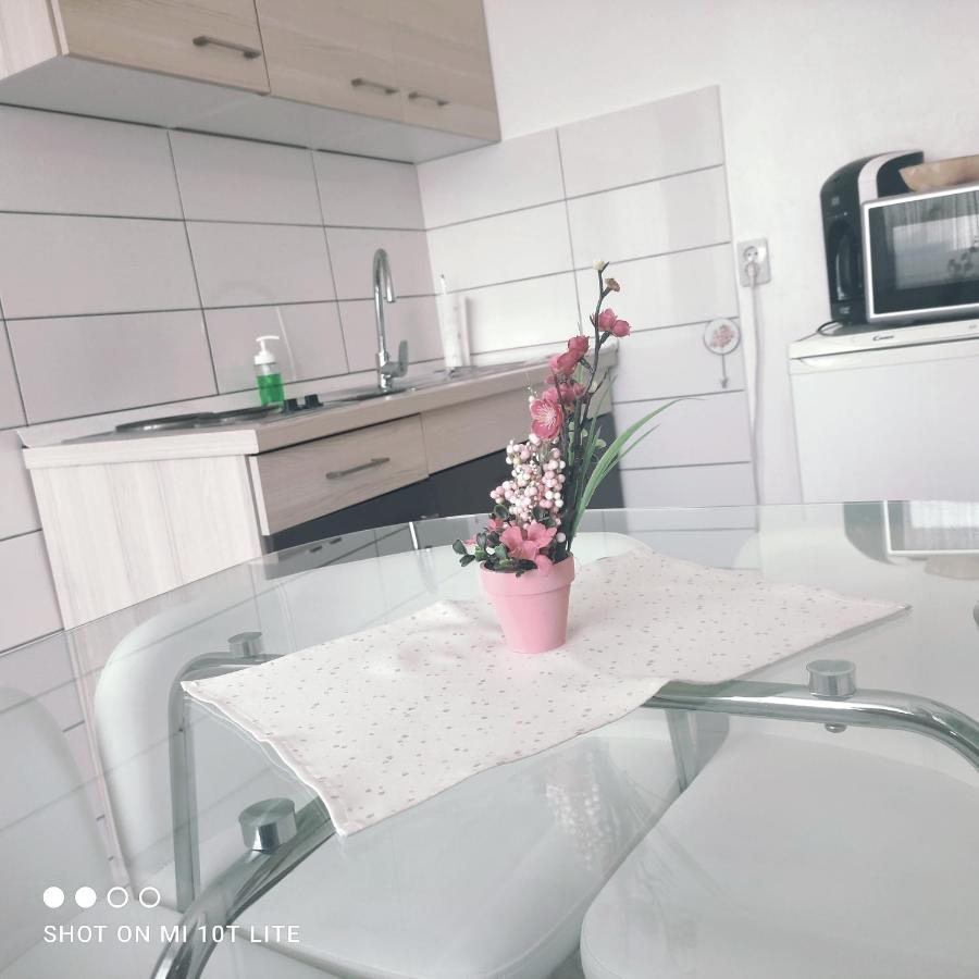 Studio Apartman Valentina Velika Mlaka Exterior photo